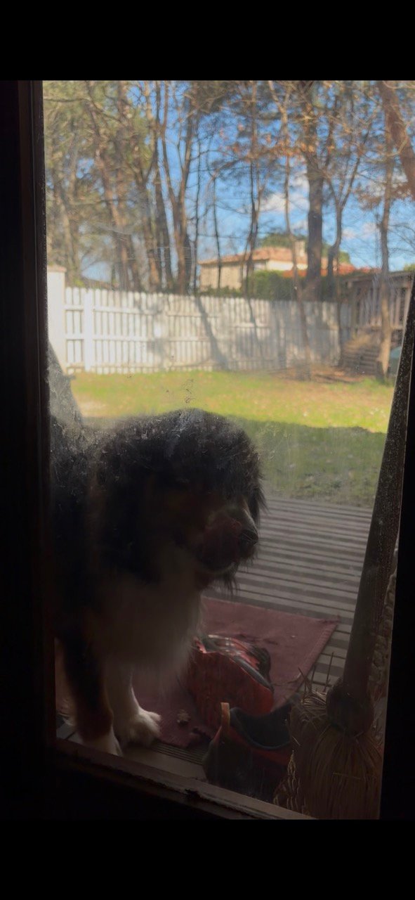 Entrée avant nettoyage